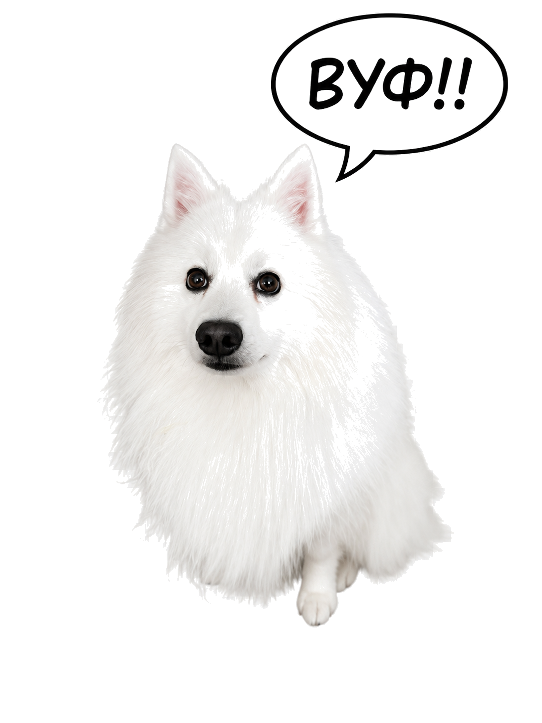 Woof
